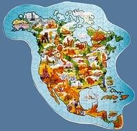 America, North (from 1980)