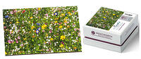 Wentworth Minimindful Range 40pc Colourful Meadow Maze Cut 2