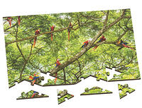 Wentworth Minimindful Range 80pc Scarlet Macaws Triangular Cut 46