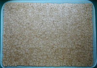 Rear 500pc Octopus Odyssey, Vine-Cut