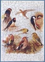 Swallows