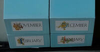 Meredith Worsfold Calendar Series Boxes November - February