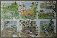 Meredith Worsfold July - December Calendar Series by Peter Barrett