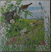 June 130pc Calendar Series 9x9in JA