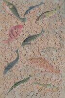 Decorative Fish
